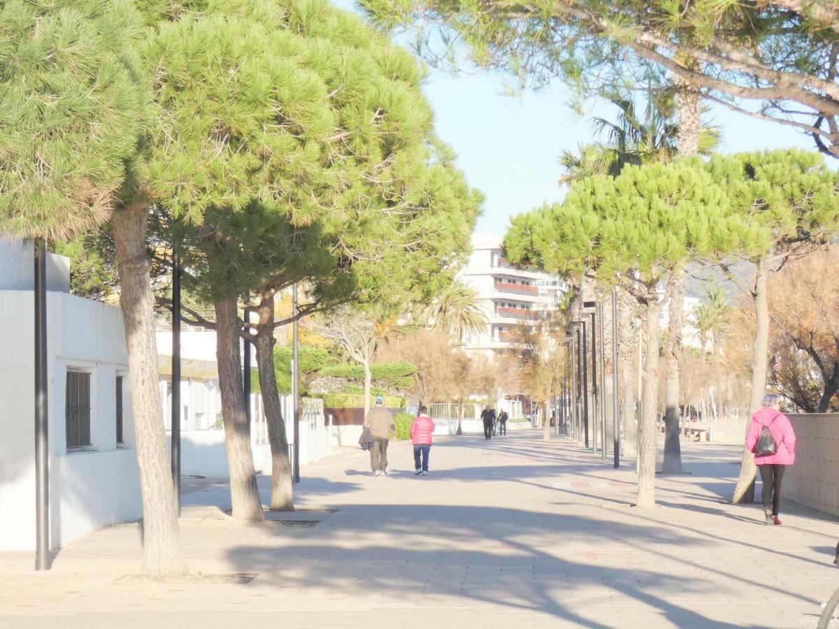Apartament Bora 5-b *